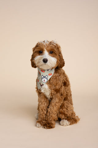 Dog Scarf "DOGGY STYLE"